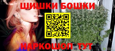 шишки Апшеронск