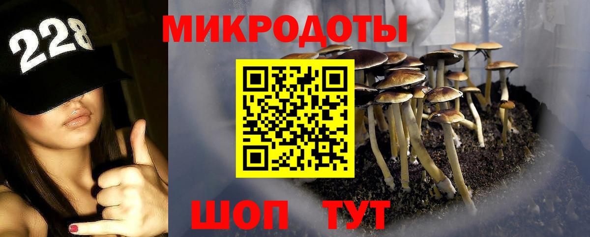 Балахна  Галлюциногенные грибы Cubensis  Псилоцибиновые грибы Cubensis  Вход с VPN 